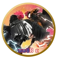 uu88 c